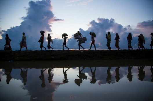 Fuente: ACNUR. Refugiados rohingya cruzan la frontera desde Myanmar, cerca del pueblo de Anzuman, hacia Bangladesh
