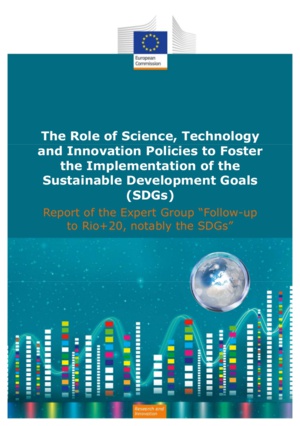 Report of the expert group 'Follow up to Rio+20, notably the SDGs'. Source: European Commission